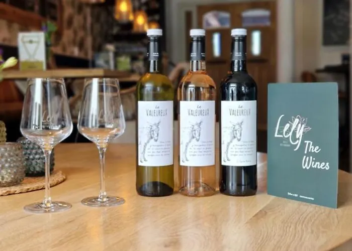 Hotel Hotel-restaurant 