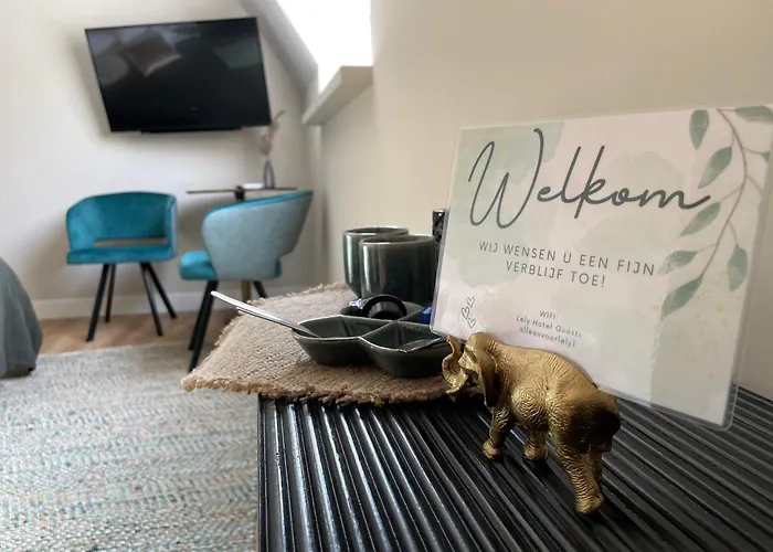 雷利餐馆及酒店 3* Oude-Tonge