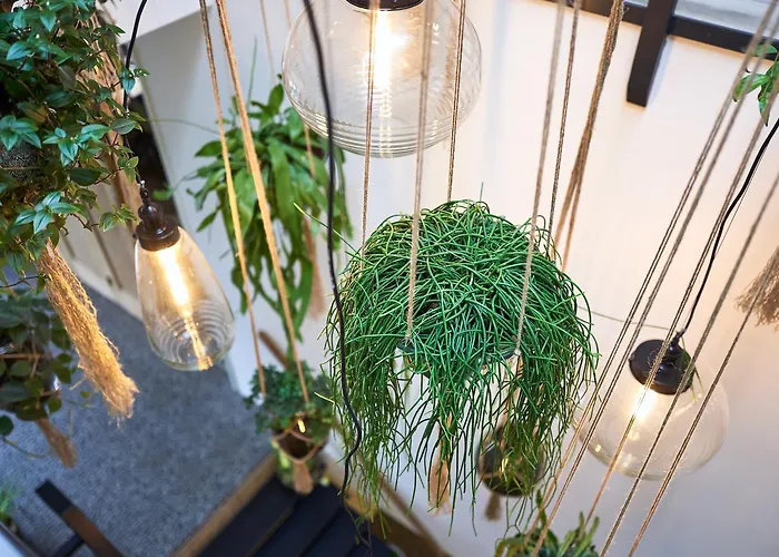 雷利餐馆及酒店